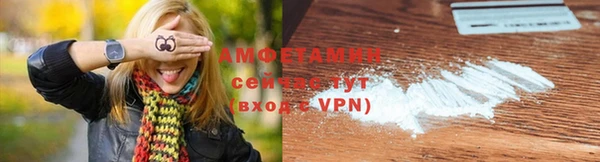 амф Верхний Тагил