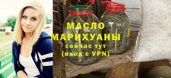 амф Верхний Тагил