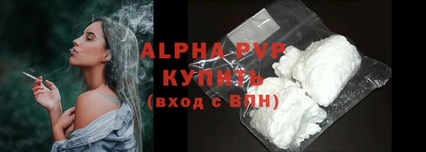 амф Верхний Тагил
