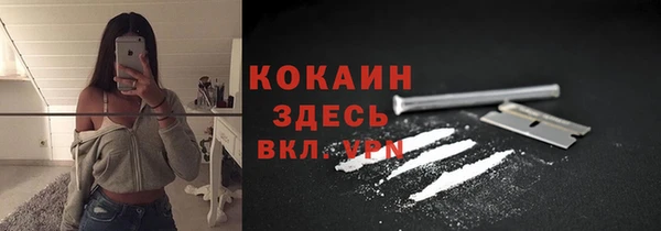 амф Верхний Тагил