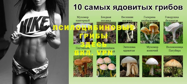 МДПВ Верея
