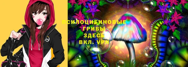 амф Верхний Тагил
