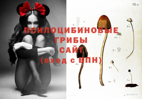 МДПВ Верея