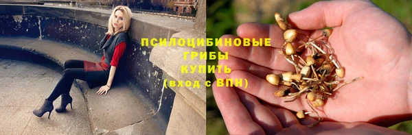 гашик Верхнеуральск
