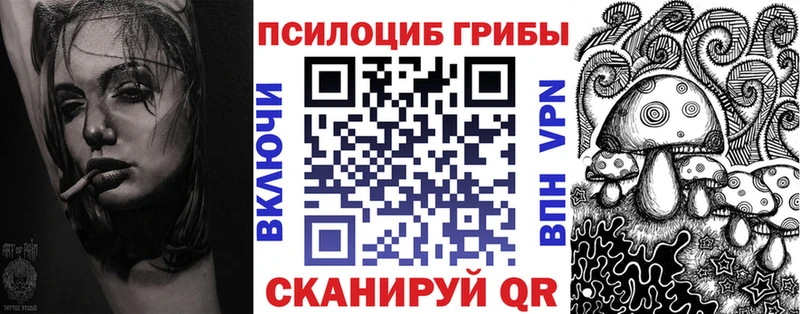 Псилоцибиновые грибы Psilocybe  Купить закладки  Чкаловск 