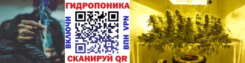 Бошки Шишки гибрид  Купить  Чкаловск 